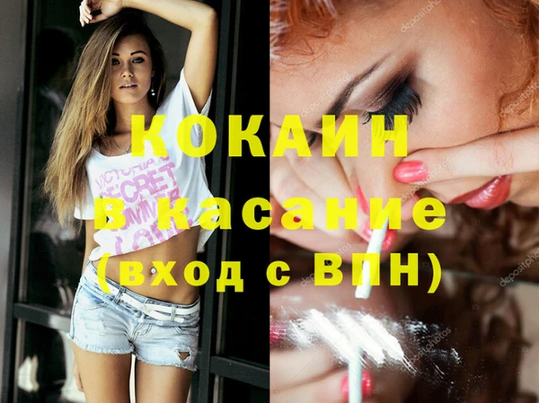 твердый Арсеньев