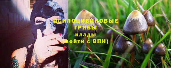 МДПВ Покровск