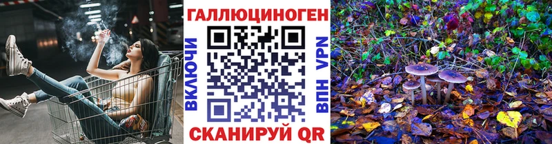 Купить где  Будённовск  Псилоцибиновые грибы MAGIC MUSHROOMS 