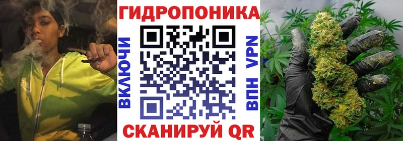 Марихуана конопля Купить Будённовск
